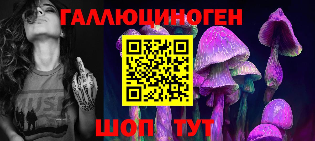 Галлюциногенные грибы Cubensis  Вход с VPN  Алатырь 