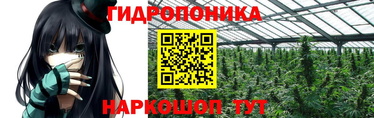 Конопля OG Kush Алатырь